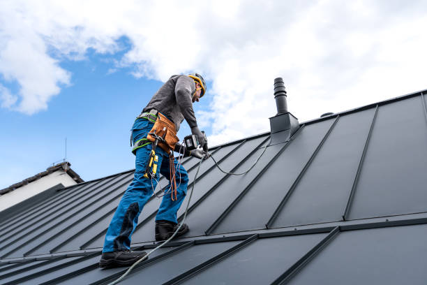 Best Gutter Installation and Repair  in North Branch, MN